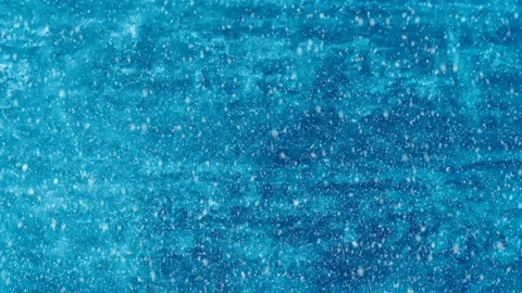 Falling Snow On A Winter Background Stock Footage 121434283