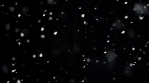 Falling snow winter background snowing Stock Footage 260564763