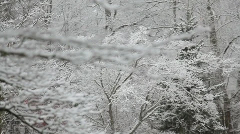 Falling snow winter day. 動画素材 48443631