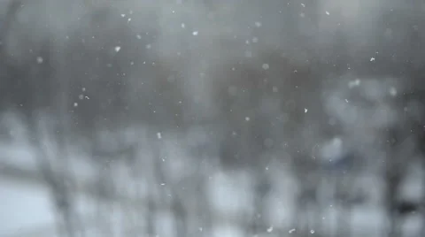 Falling snow in winter Vidéo 60818424