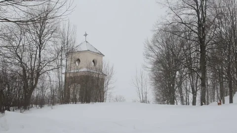 Falling snow in winter Stock Footage 73675098