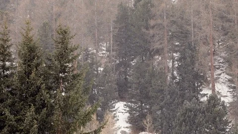 Falling snow in winter 動画素材 89337650