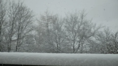 Falling snow in winter Video stock 115831619
