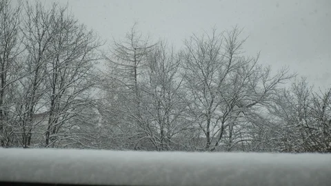 Falling snow in winter Видео 115831725