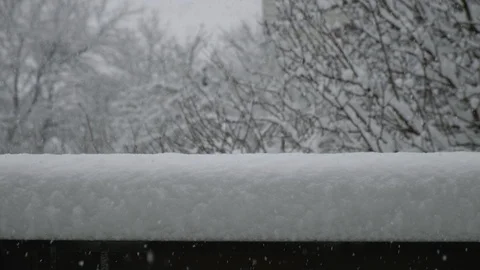 Falling snow in winter Видео 115831976