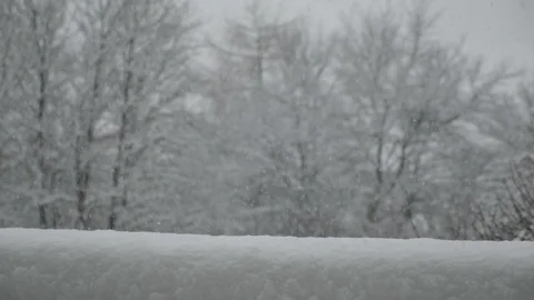 Falling snow in winter Видео 115832017