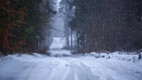 Falling snow in winter footage. 스톡 동영상 71211277
