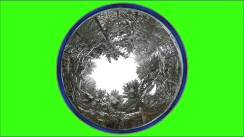 Falling snow winter forest, camera rotates from a low angle, fisheye lens, gr Stock Footage 317716741