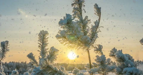 Large Snow Flakes Falling - Series of 5 + Loop, Elements Motion