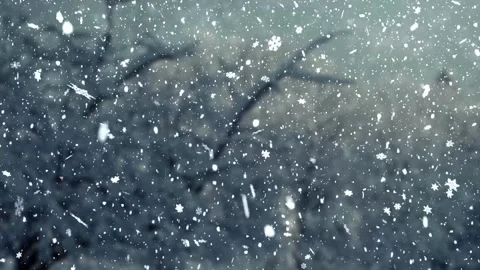 Falling snow in winter forest with snowflakes, peaceful nature scene Video stock 326579343