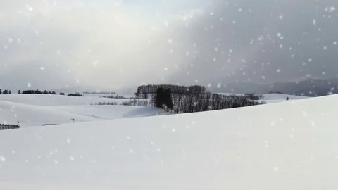 Falling snow in a winter landscape background - looping snow Stock Footage 69157028
