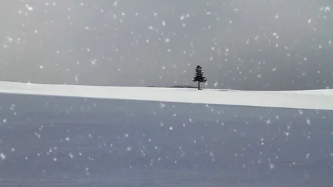 Falling snow in a winter landscape background - looping snow Stock Footage 69157198