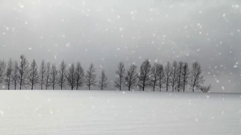 Falling snow in a winter landscape background - looping snow Stock Footage 69157301