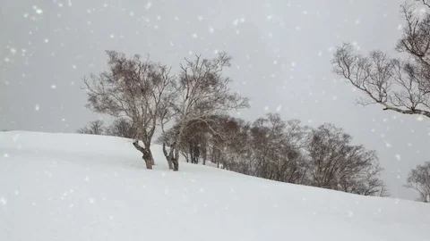 Falling snow in a winter landscape background - looping snow Stock Footage 69157375