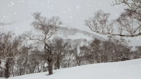 Falling snow in a winter landscape background - looping snow Stock Footage 69157548