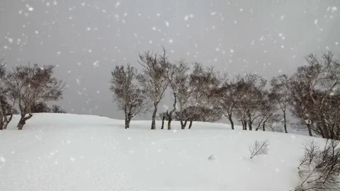Falling snow in a winter landscape background - looping snow Stock Footage 69157676