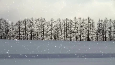 Falling snow in a winter landscape background - looping snow Stock Footage 69157816