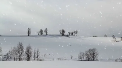Falling snow in a winter landscape background - looping snow Stock Footage 69157821
