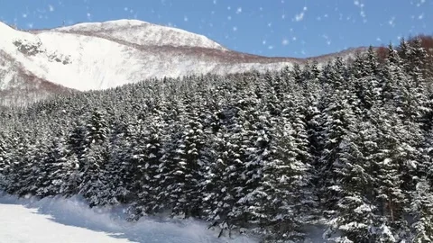 Falling snow in a winter landscape background - looping snow Video stock 69185517