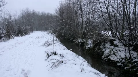 Falling snow. winter landscape. Brook. Slow motion . Video 4K 库存影片 166906018
