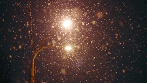Falling snow in winter in the light of street lamps,beautiful winter atmosphere Stock Footage 248361220