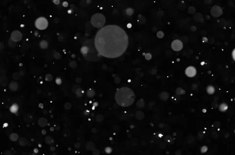 Falling snow winter night Stock Photos