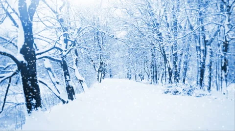 Falling snow in a winter park with snow covered trees 動画素材 45587421