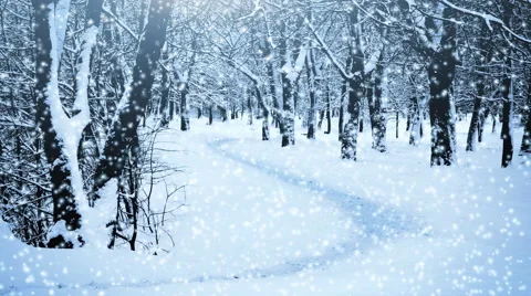 Falling snow in a winter park with snow covered trees Stock Footage 45589470