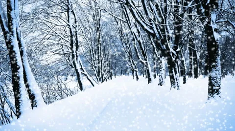 Falling snow in a winter park with snow covered trees 스톡 동영상 45589479