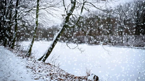 Falling snow in a winter park with snow covered trees Video stock 45725725