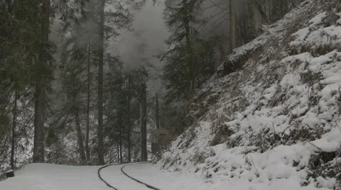 Falling snow in a winter park with snow covered trees Stock Footage 47643685