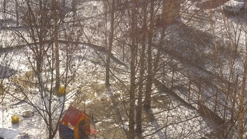Falling snow in a winter park with snow covered trees Stock-Footage 84915800