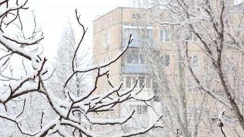 Falling snow in a winter park with snow covered trees. top view. In the backgrou Stock Footage 85699109