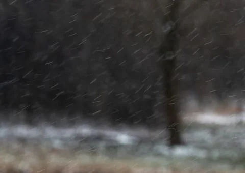 Falling snow, wintertime bokeh Stock Photos