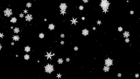 Falling Snowflakes 2 Stock Footage 120358989