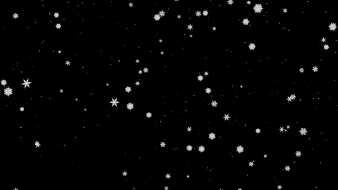 Falling Snowflakes 3 Stock Footage 120358986