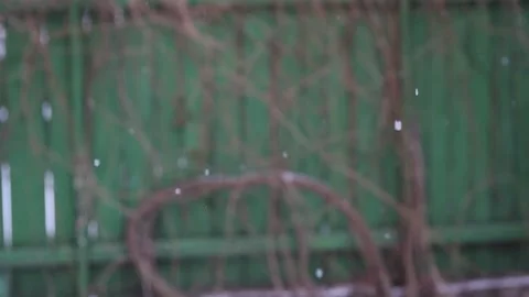 Falling snowflakes against a blurred green fence and vines. Stock Footage 310735560