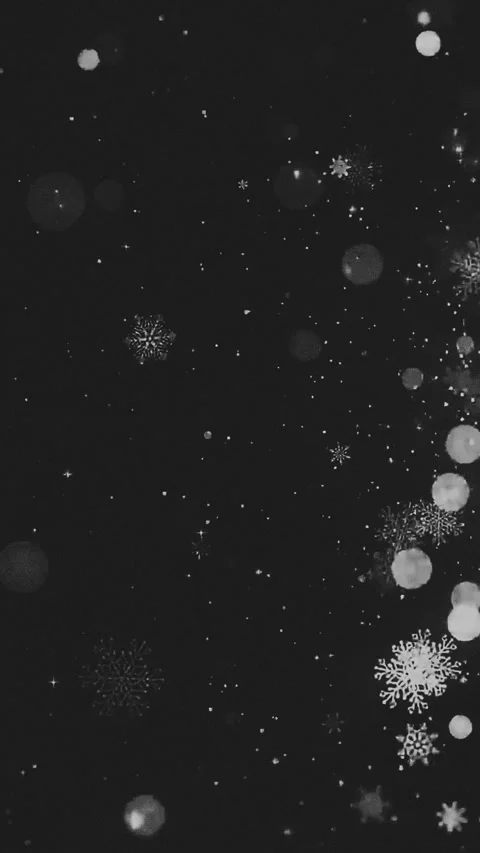 Falling Snowflakes and Particles on Black Background Overlay Stock Footage 342342067