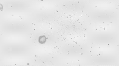 Falling Snowflakes animation loop with Alpha channel Birds Eye View. Snow Video stock 170184160