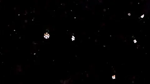 Falling Snowflakes on Black Background - Winter, Christmas, Holiday Theme Stock Footage 300281172
