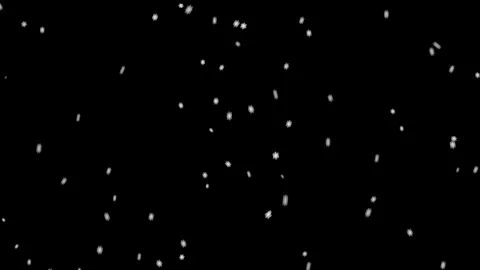 Falling snowflakes on a black background. Winter's tale. Stock Footage 302450338
