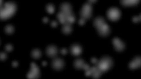 Falling Snowflakes in Cinematic Motion against a Dark Background with Subtl.. Stock Footage 340045413