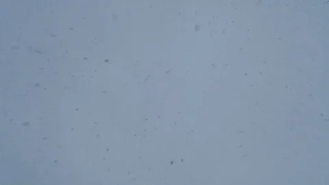 Falling snowflakes closeup Stock Footage 82540790