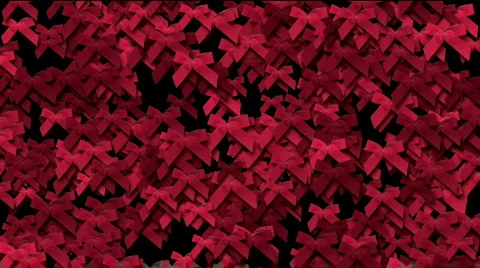 Falling snowflakes Stock Footage 299159