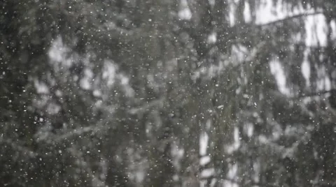 Falling snowflakes Stock Footage 46220718