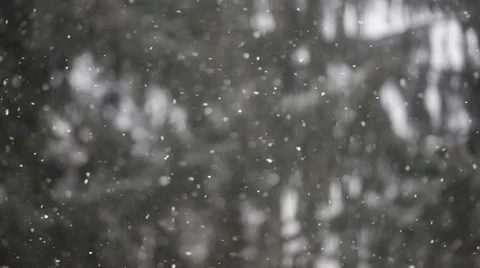 Falling snowflakes Stock Footage 46221063