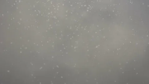 Falling snowflakes Stock Footage 75254607