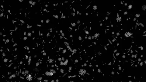 Falling Snowflakes 스톡 동영상 220589018