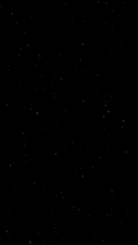 Falling Snowflakes  Stock Footage 325812018