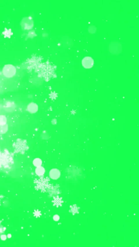 Falling Snowflakes Green Screen Vertical Winter Snow Bokeh Overlay Reel Story Stock Footage 341520270